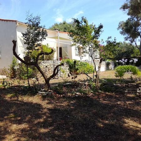 Bonifacio, Maison 90M² Sous Les Oliviers, Vue Sardaigne Bonifacio  Exterior foto