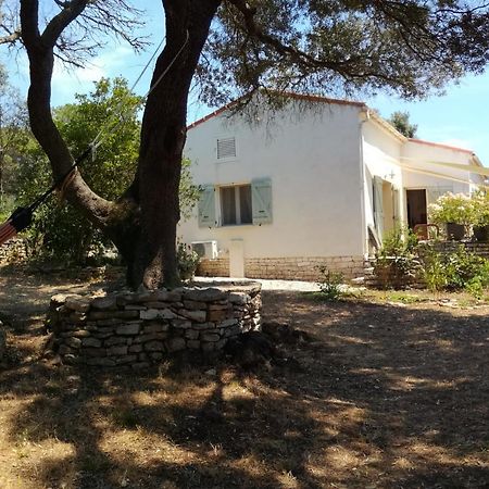 Bonifacio, Maison 90M² Sous Les Oliviers, Vue Sardaigne Bonifacio  Exterior foto