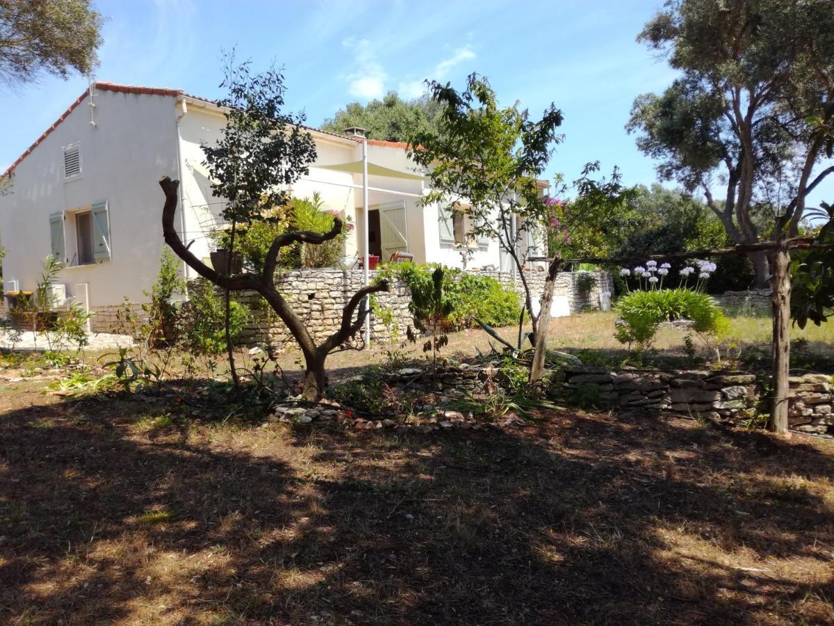 Bonifacio, Maison 90M² Sous Les Oliviers, Vue Sardaigne Bonifacio  Exterior foto