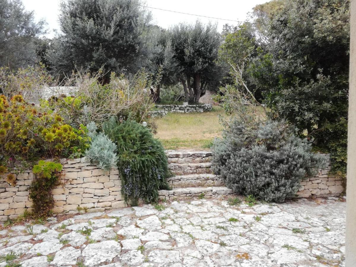 Bonifacio, Maison 90M² Sous Les Oliviers, Vue Sardaigne Bonifacio  Exterior foto